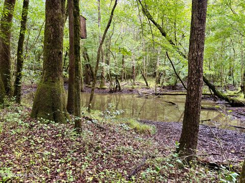 Tiny photo for 857 Mill River Road, Jacksonville, NC 28540 (MLS # 100589008)