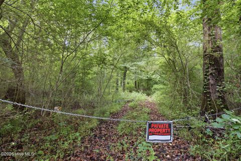 Tiny photo for 857 Mill River Road, Jacksonville, NC 28540 (MLS # 100589008)