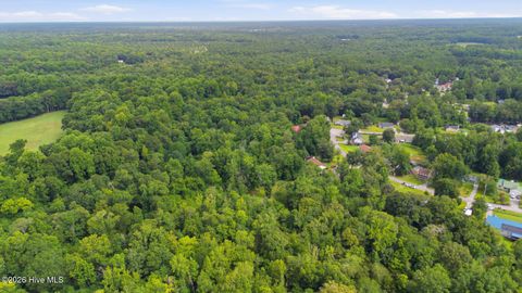 Tiny photo for 857 Mill River Road, Jacksonville, NC 28540 (MLS # 100589008)