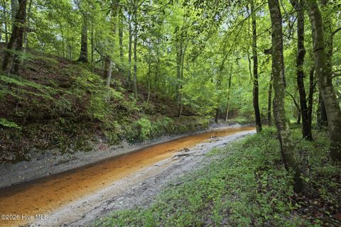 Tiny photo for 857 Mill River Road, Jacksonville, NC 28540 (MLS # 100589008)