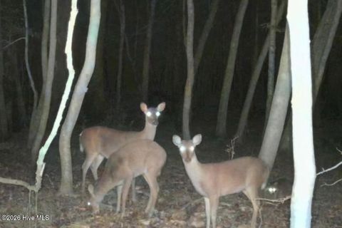 Tiny photo for 857 Mill River Road, Jacksonville, NC 28540 (MLS # 100589008)