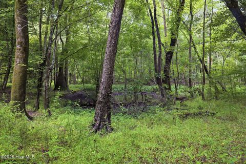 Tiny photo for 857 Mill River Road, Jacksonville, NC 28540 (MLS # 100589008)