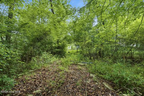 Tiny photo for 857 Mill River Road, Jacksonville, NC 28540 (MLS # 100589008)
