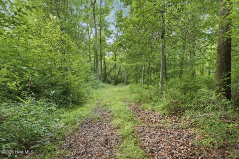 Tiny photo for 857 Mill River Road, Jacksonville, NC 28540 (MLS # 100589008)