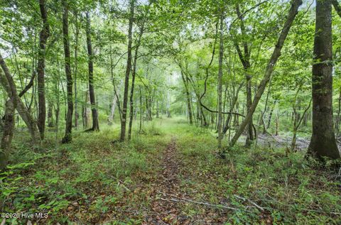 Tiny photo for 857 Mill River Road, Jacksonville, NC 28540 (MLS # 100589008)