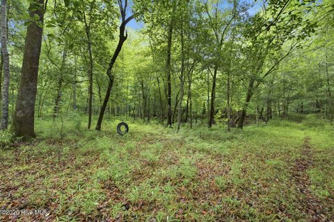 Tiny photo for 857 Mill River Road, Jacksonville, NC 28540 (MLS # 100589008)