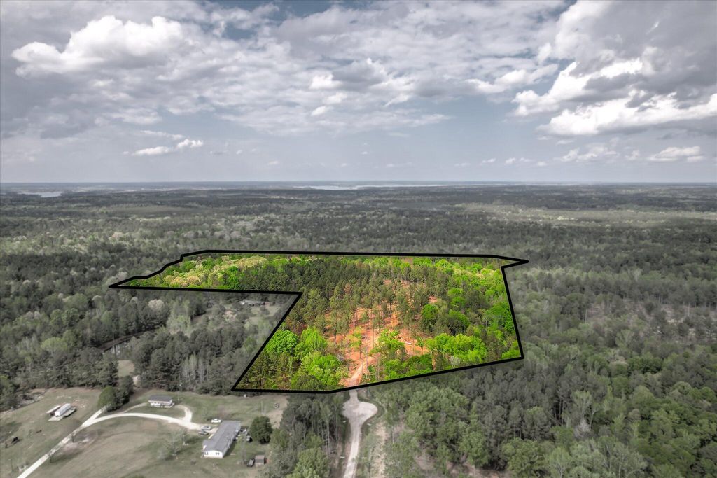 Photo of 575 Rabbit Pen Drive, Appling, GA 30802 (MLS # 554023)