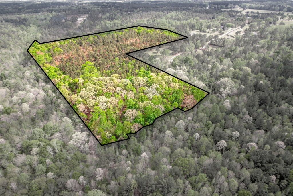 Photo of 575 Rabbit Pen Drive, Appling, GA 30802 (MLS # 554023)