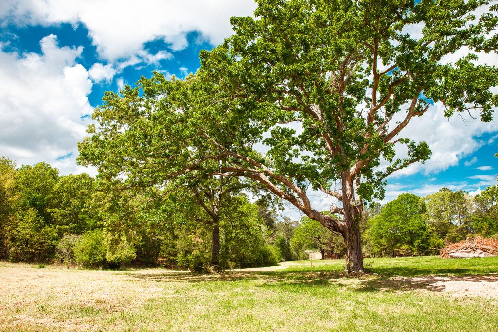 Photo of 00 Ralph Goolsby Road, Lincolnton, GA 30817 (MLS # 554897)