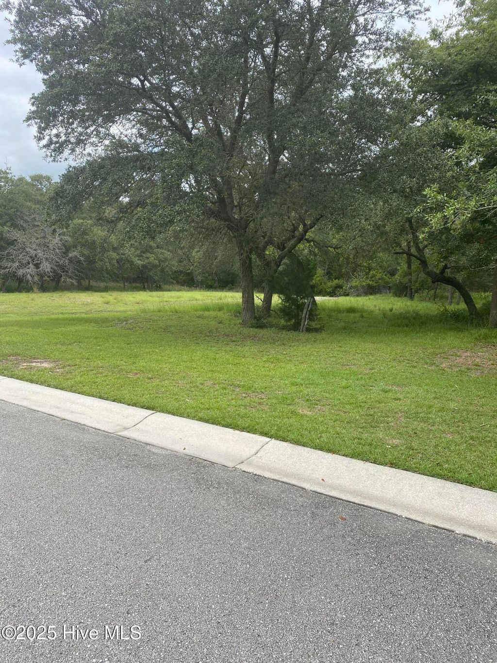 Photo of 3718 Constance Avenue SW, Supply, NC 28462 (MLS # 100488019)