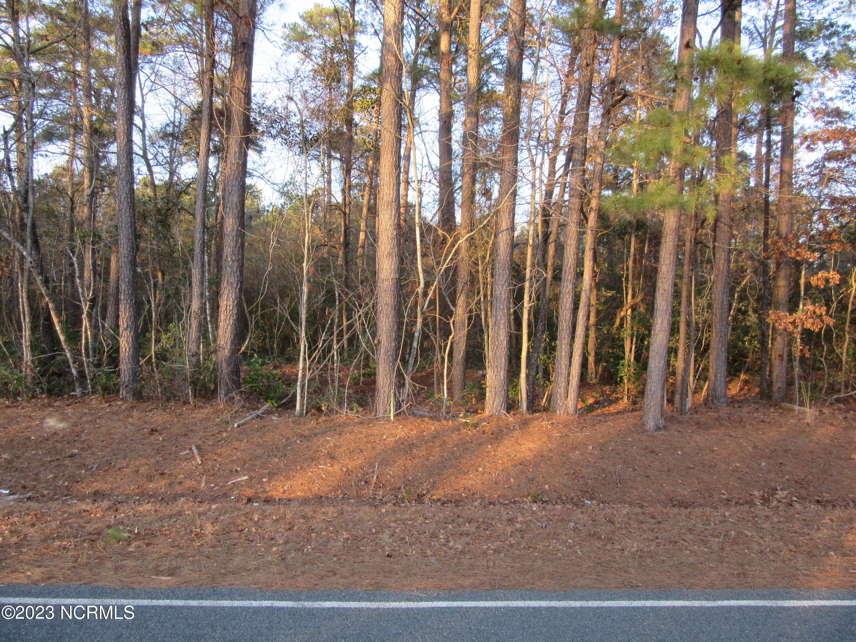 Near 484 John Spaulding Road