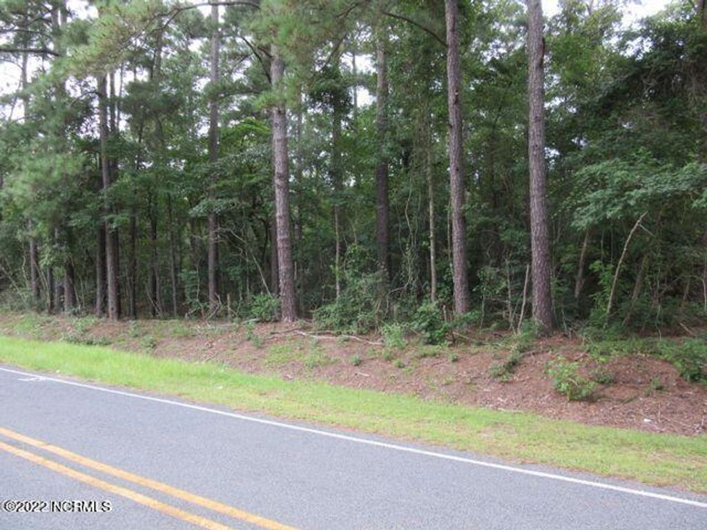 Photo of 484 John Spaulding Road, Clarkton, NC 28433 (MLS # 100582064)