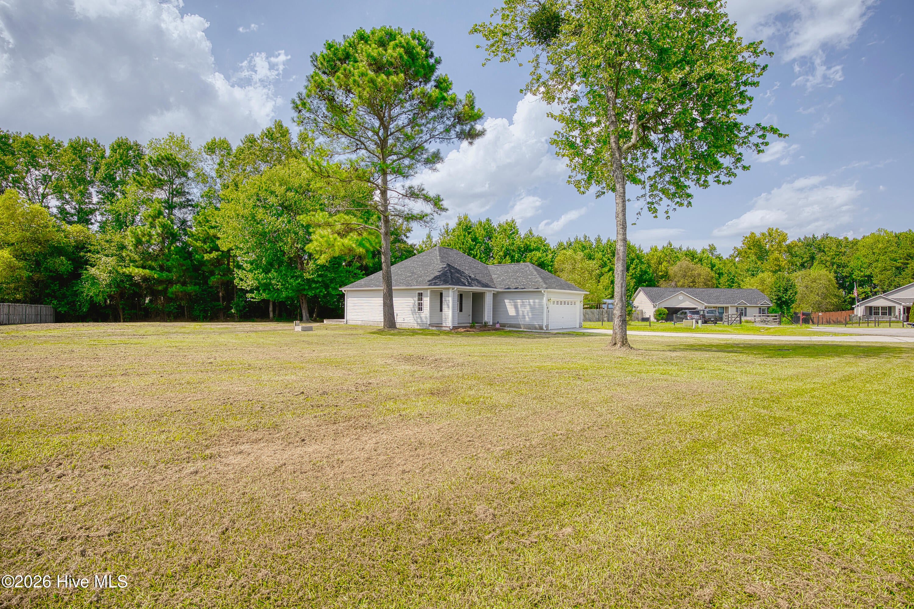 303 Big Tree Lane