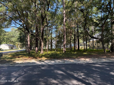 Tiny photo for 586 Folly Drive SE, Bolivia, NC 28422 (MLS # 100611483)