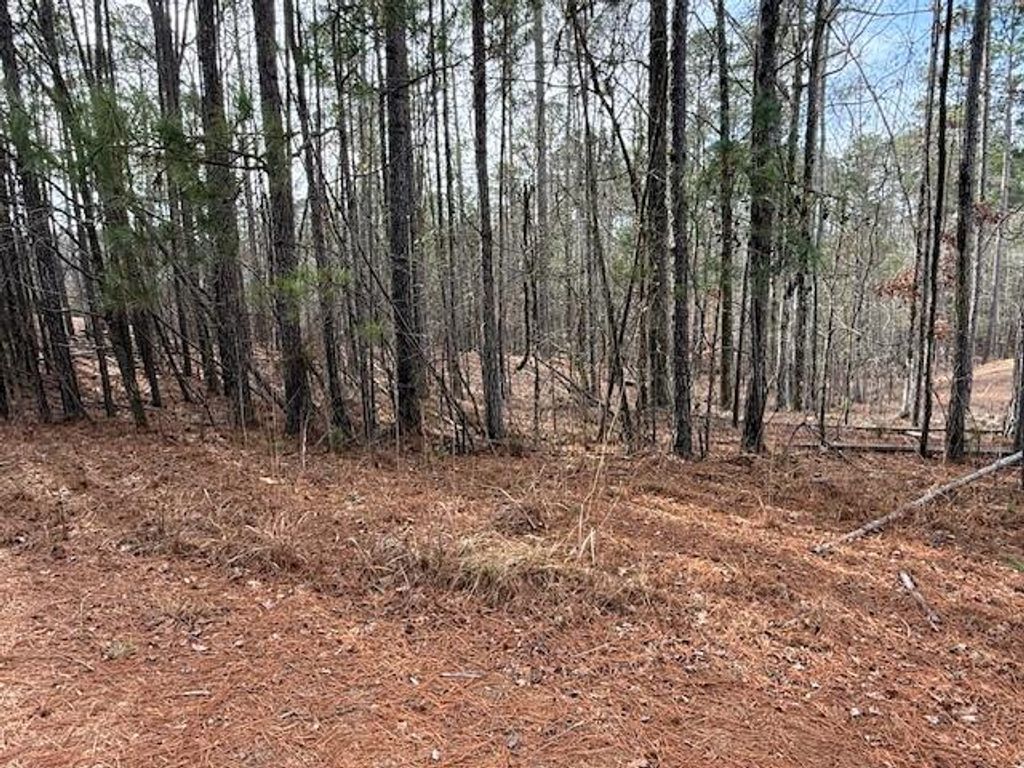 Photo of 1433 Kristen Lane, McCormick, SC 29835 (MLS # 550845)