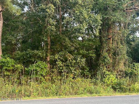 Vacant Land For Sale - 4595 Mercer Mill Brown Marsh Road<br/> Bladen County, Clarkton, NC 28433