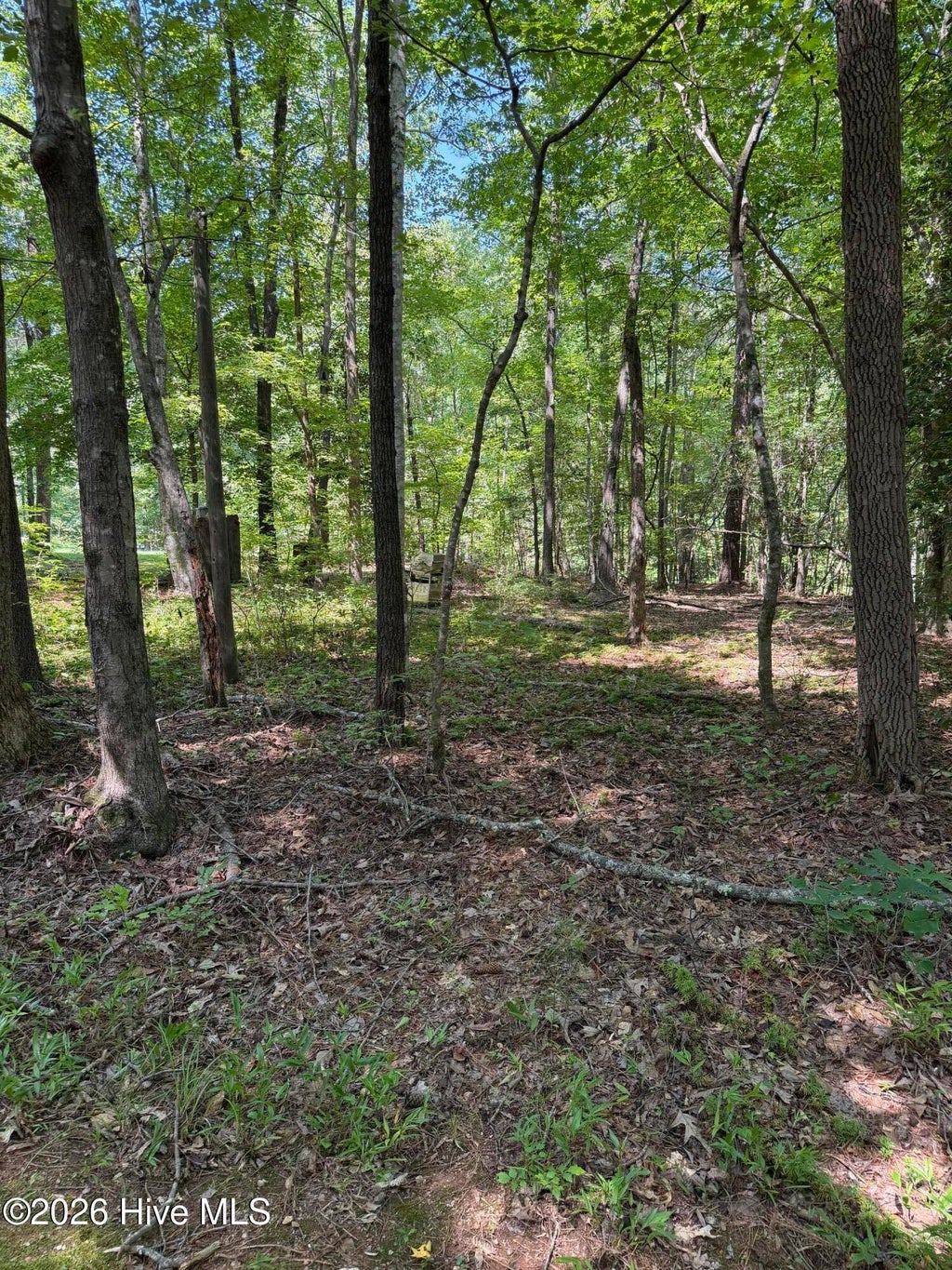 Photo of 153 Omaha Drive, Louisburg, NC 27549 (MLS # 100587560)