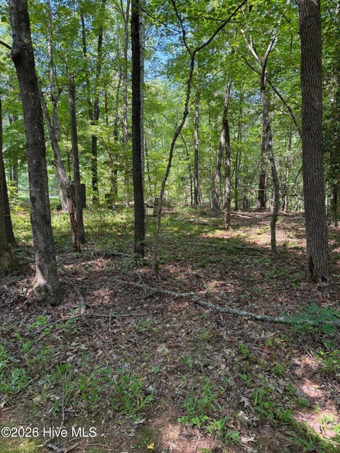 Vacant Land For Sale - 153 Omaha Drive<br/> Franklin County, Louisburg, NC 27549