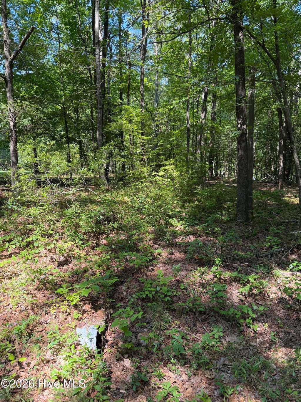 Photo of 153 Omaha Drive, Louisburg, NC 27549 (MLS # 100587560)