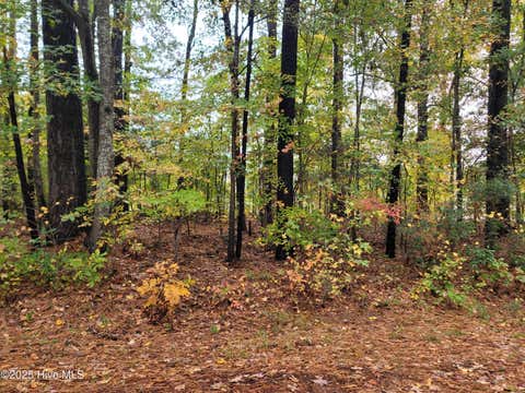 Vacant Land For Sale - LOT #17 Dogwood Trail<br/> Pasquotank County, Elizabeth City, NC 27909
