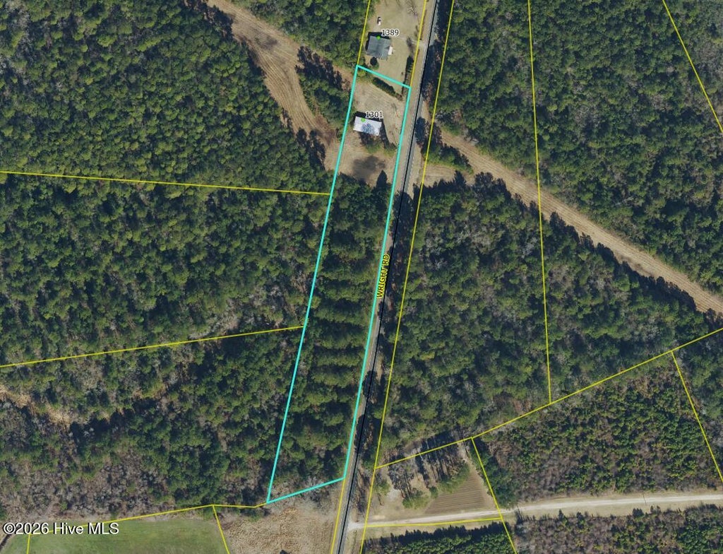 Photo of 1301 Wright Road, Bladenboro, NC 28320 (MLS # 100597545)