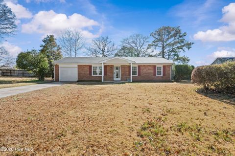 Photo of 206 Kerry Court, Jacksonville, NC 28546 (MLS # 100550340)