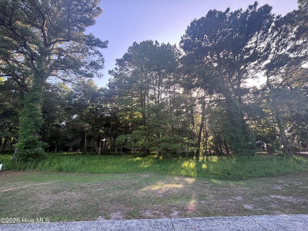 Photo of 3809 Courtenay Drive SW, Supply, NC 28462 (MLS # 100576849)