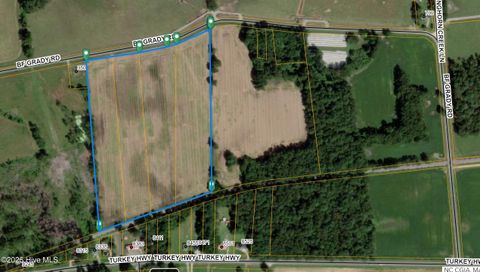 Vacant Land For Sale - 1-4 Bf Grady Road<br/> Turkey, NC 28393
