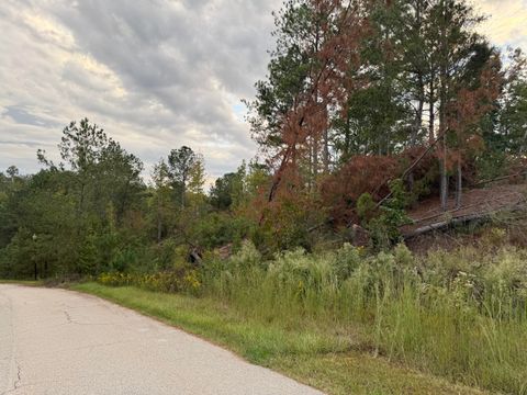 Vacant Land For Sale - 14 Pindo Pass<br/> North Augusta, SC 29860