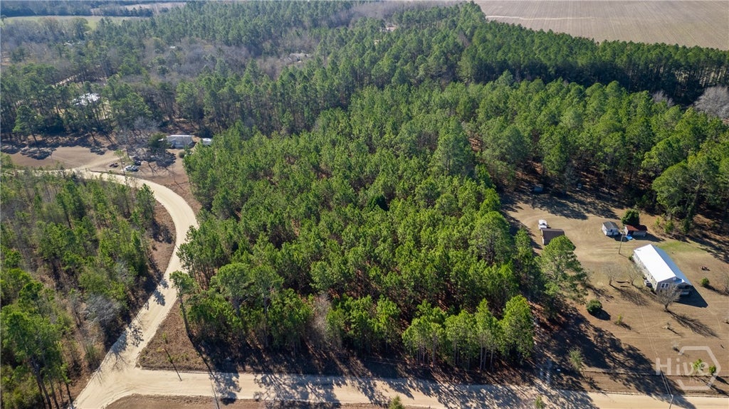 Photo of 3201 Deer Run Lane, Statesboro, GA 30461 (MLS # SA364368)