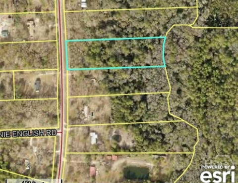 Vacant Land For Sale - Mack English Road<br/> Ellabell, GA 31308