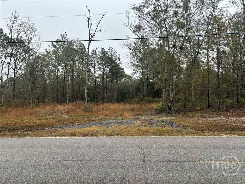Photo of 0 Mack English Road, Ellabell, GA 31308 (MLS # SA345131)