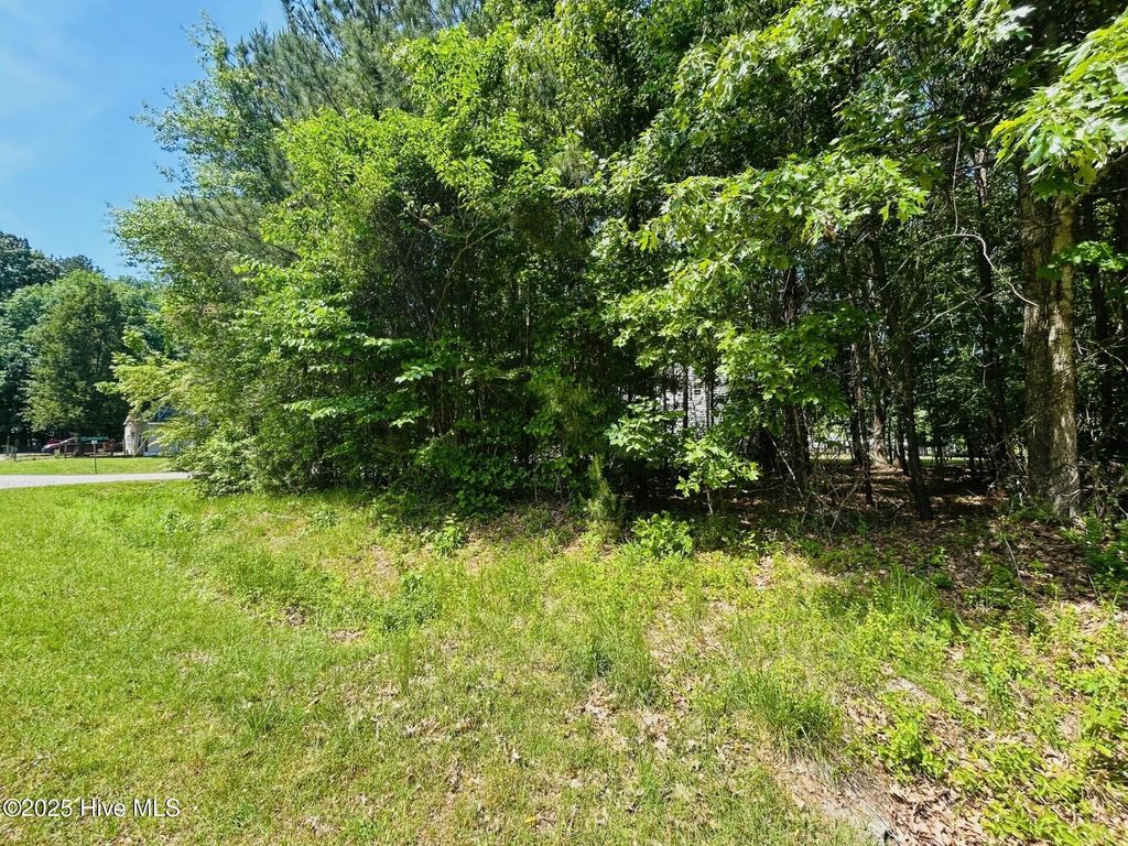 Photo of 75 Arapahoe Trail, Hertford, NC 27944 (MLS # 100504995)