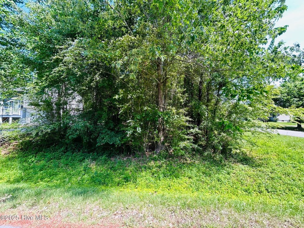 Photo of 75 Arapahoe Trail, Hertford, NC 27944 (MLS # 100504995)