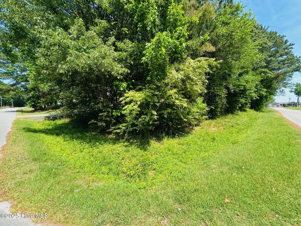 Photo of 75 Arapahoe Trail, Hertford, NC 27944 (MLS # 100504995)