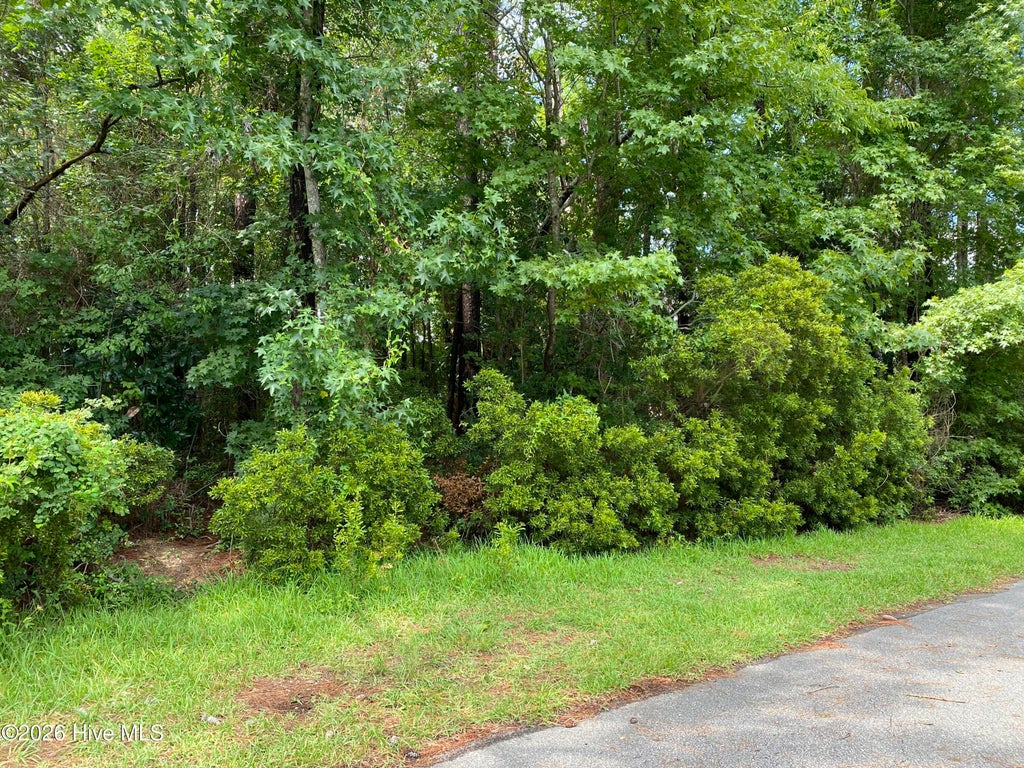 Photo of 325 Trelawney Court, Wilmington, NC 28411 (MLS # 100598065)