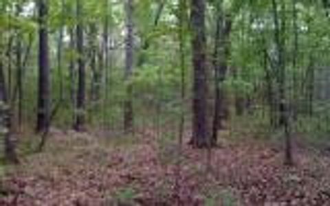 Vacant Land For Sale - 00 Lady Lane<br/> Murphy, NC 28906