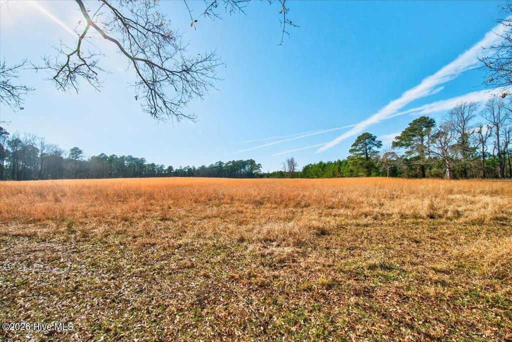 Photo of 765 George Ii Highway SE, Winnabow, NC 28479 (MLS # 100551580)