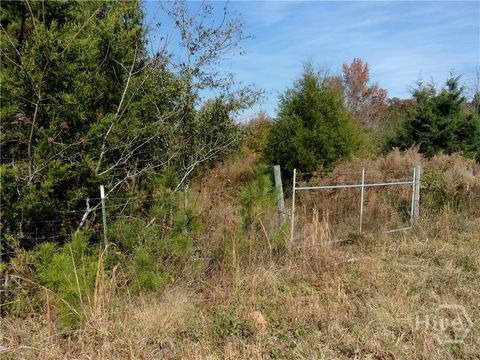Vacant Land For Sale - 00 River Road<br/> Carlton, GA 30627