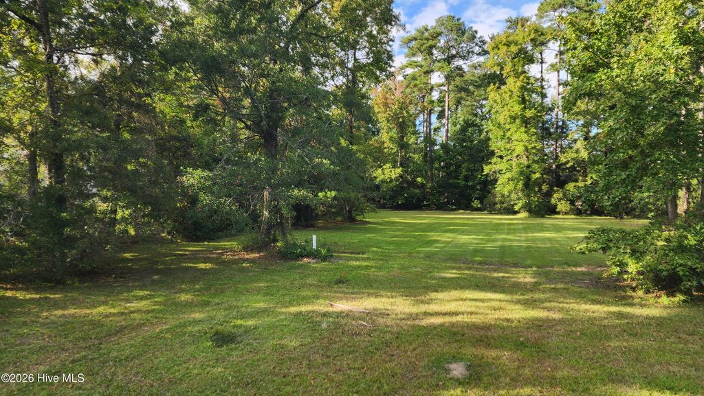 Photo of 129 Cummins Creek Road, Beaufort, NC 28516 (MLS # 100551581)