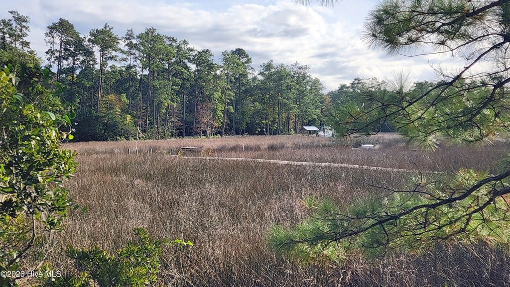 Photo of 129 Cummins Creek Road, Beaufort, NC 28516 (MLS # 100551581)