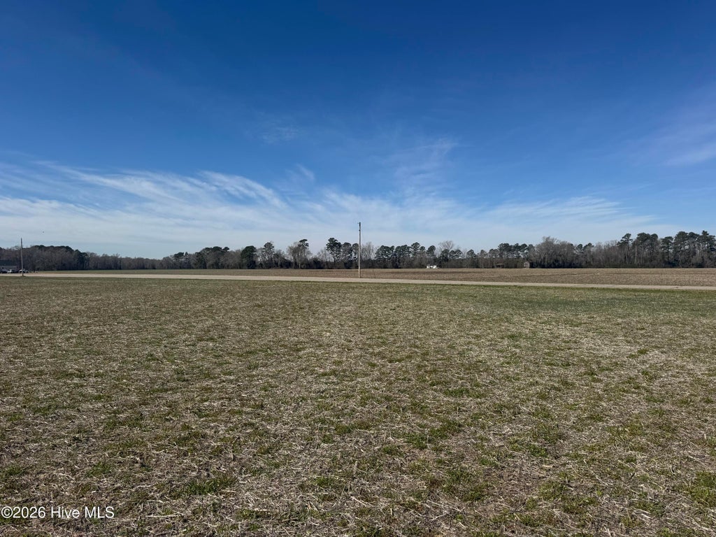 Photo of 2 Near 2034 Haynes Len Highway, Cerro Gordo, NC 28430 (MLS # 100605712)