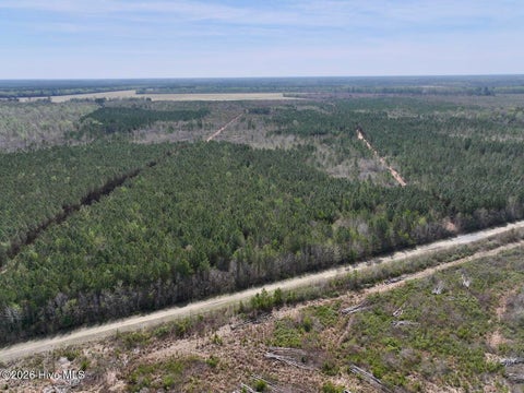 Vacant Land For Sale - Guinea Mill Road<br/> Ernul, NC 28527