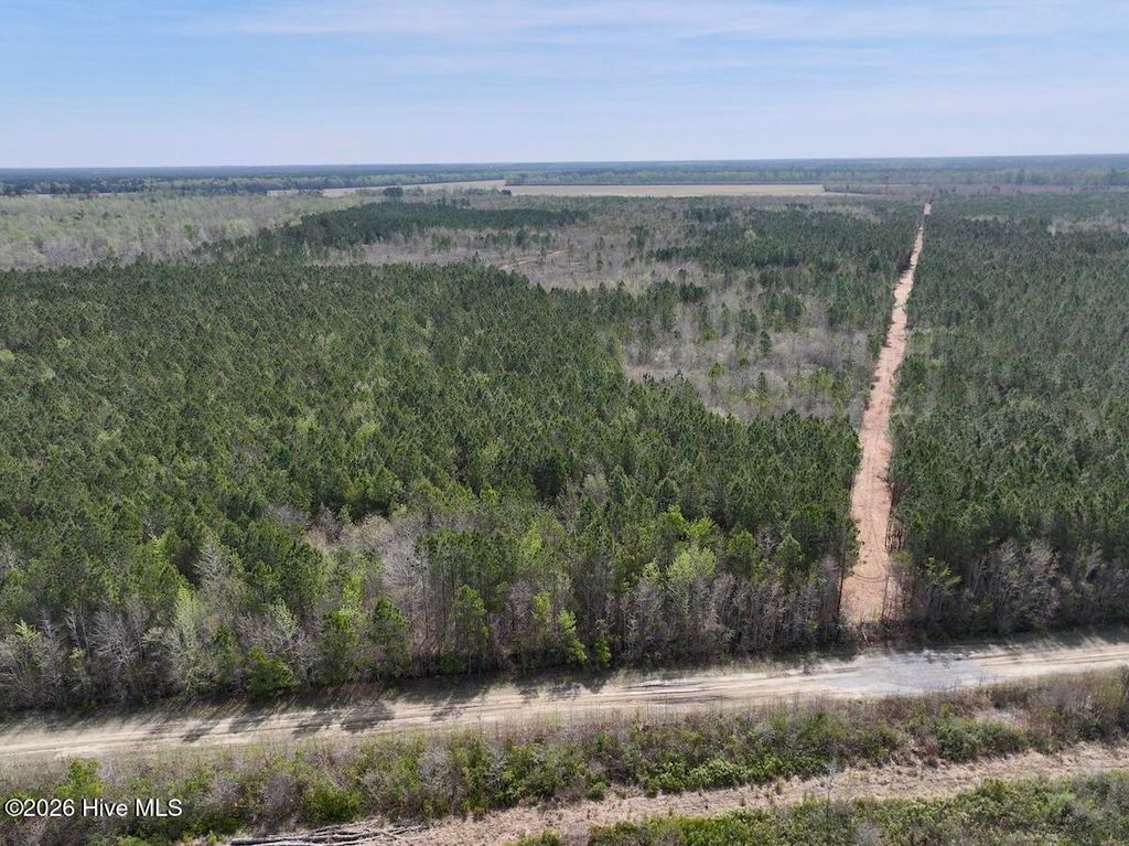 Photo of 0 Guinea Mill Road, Ernul, NC 28527 (MLS # 100566473)