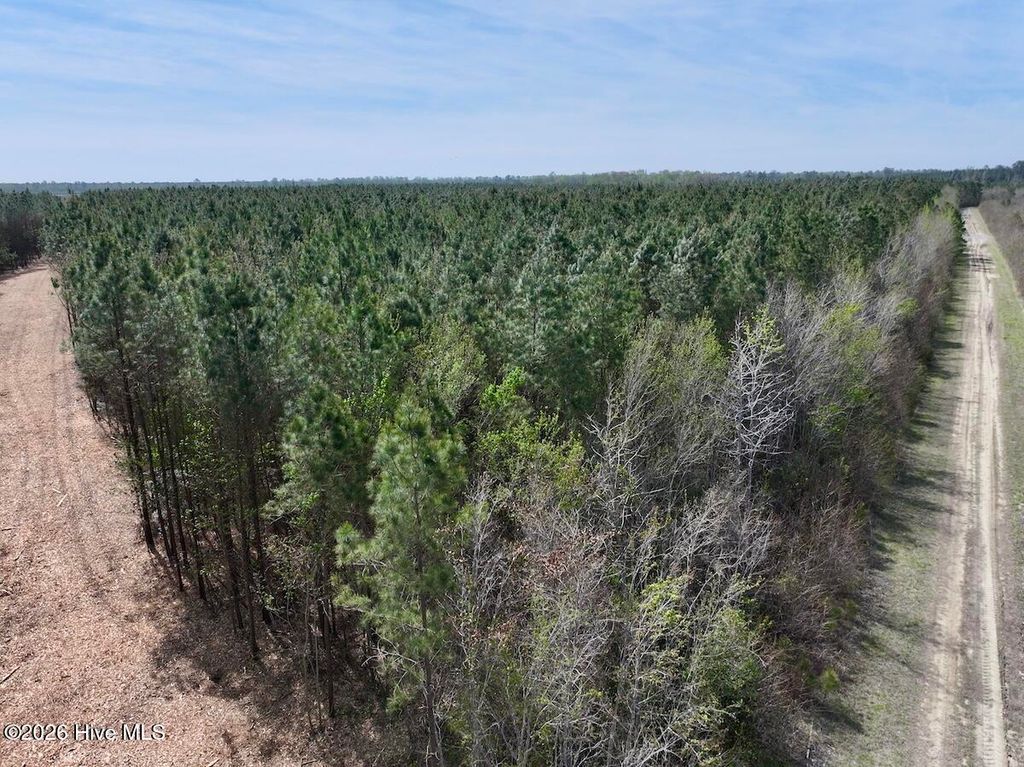 Photo of 0 Guinea Mill Road, Ernul, NC 28527 (MLS # 100566473)