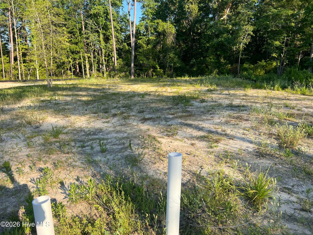 Photo of 9069 National Avenue NE, Leland, NC 28451 (MLS # 100580809)