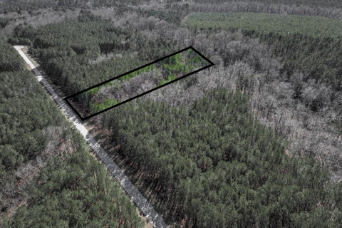 Vacant Land For Sale - 1148 Hardwood Drive<br/> Lincoln County, Tignall, GA 30668