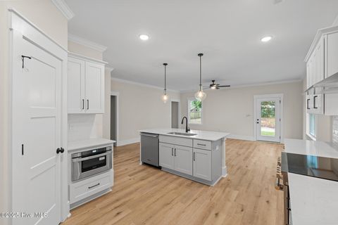 Tiny photo for 105 N Lloyd Street Street, Burgaw, NC 28425 (MLS # 100511694)