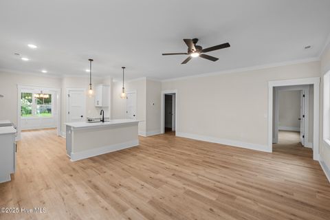 Tiny photo for 105 N Lloyd Street Street, Burgaw, NC 28425 (MLS # 100511694)