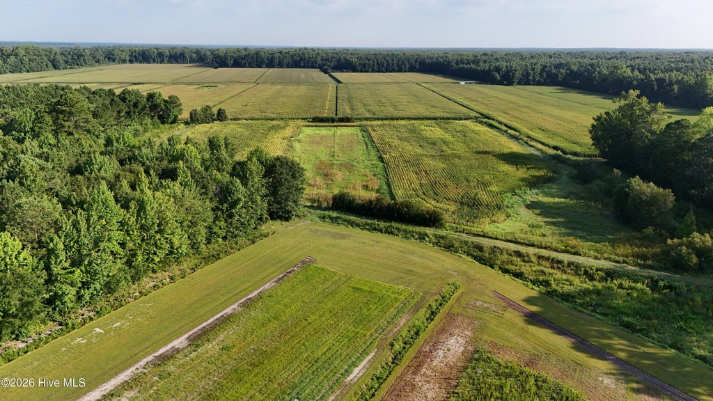 Photo of 5200 Kershaw Road, Oriental, NC 28571 (MLS # 100594587)